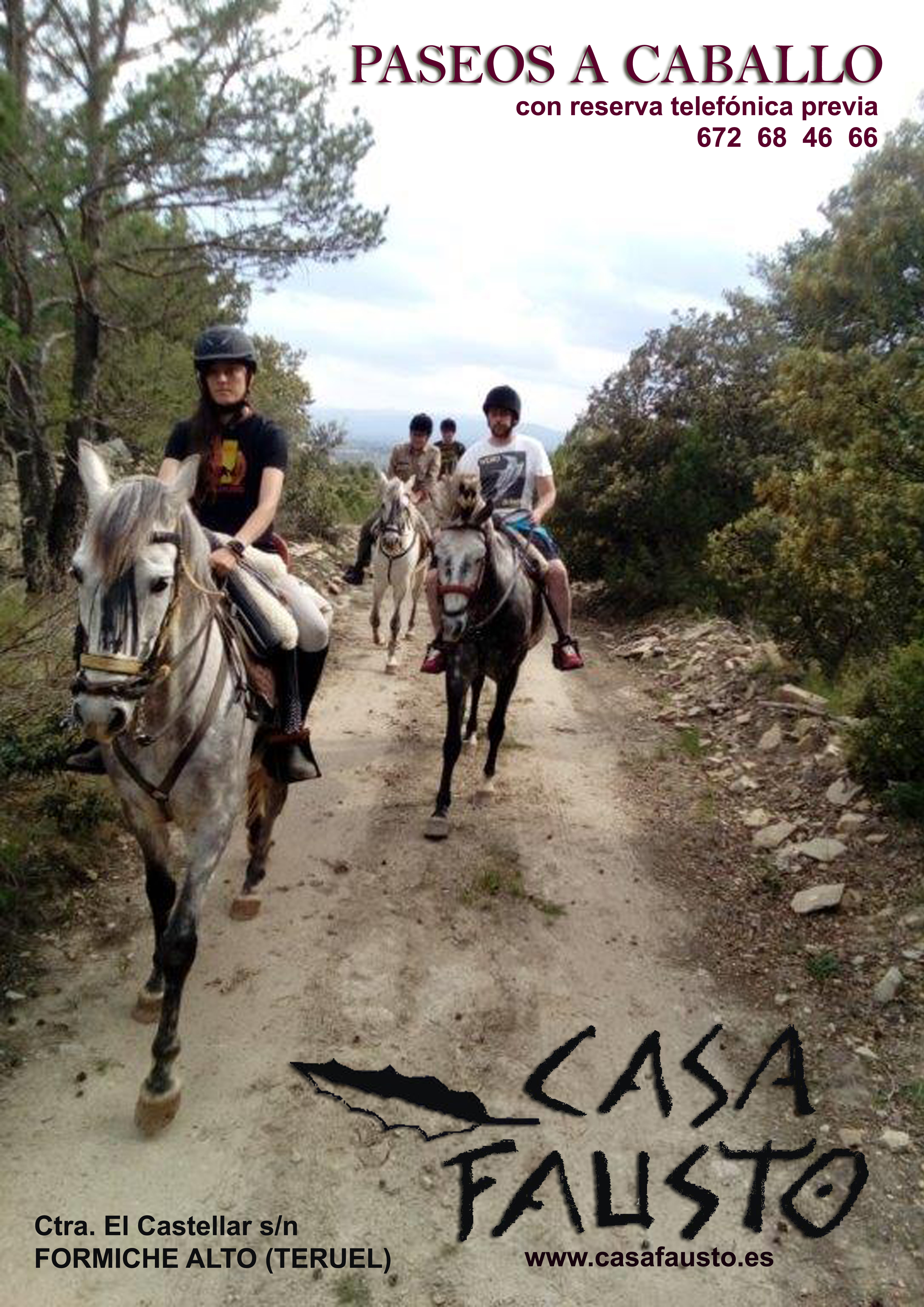 caballos web