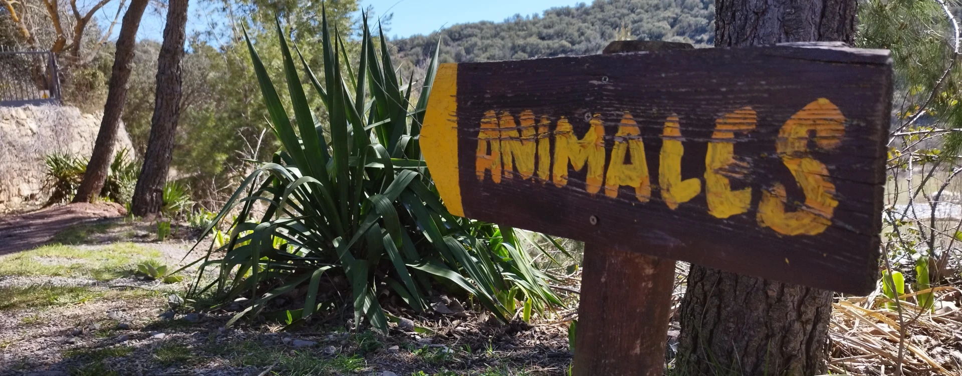 Animales