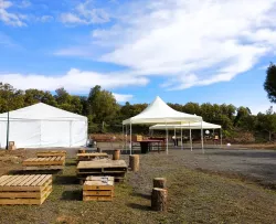 Carpa 4