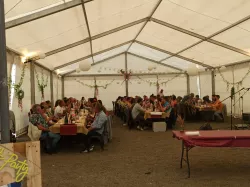Carpa 7