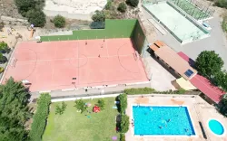 Pisci02