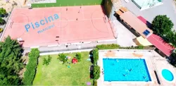 Pisci1